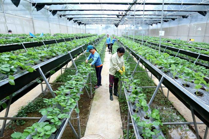 Agriculture and environment sector: Advancing science and technology to global standards
